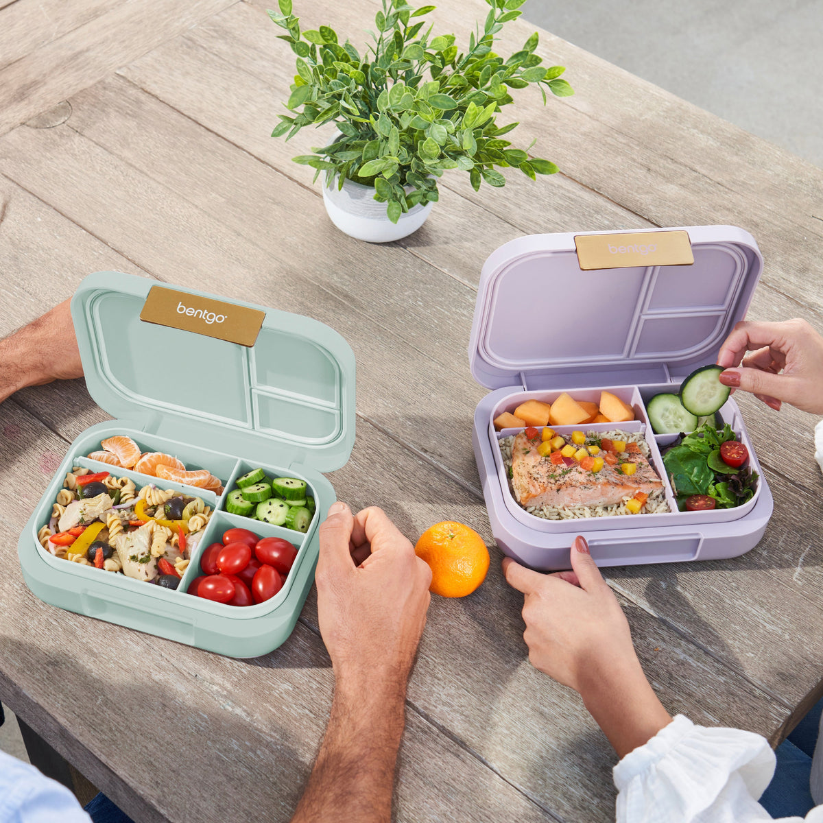 bentgo-modern-lunch-box-2-pack-m6 COSTCOBMCPRODUCTIMAGE_2.jpg